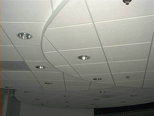 Curved acoustical ceiling with recessed lights