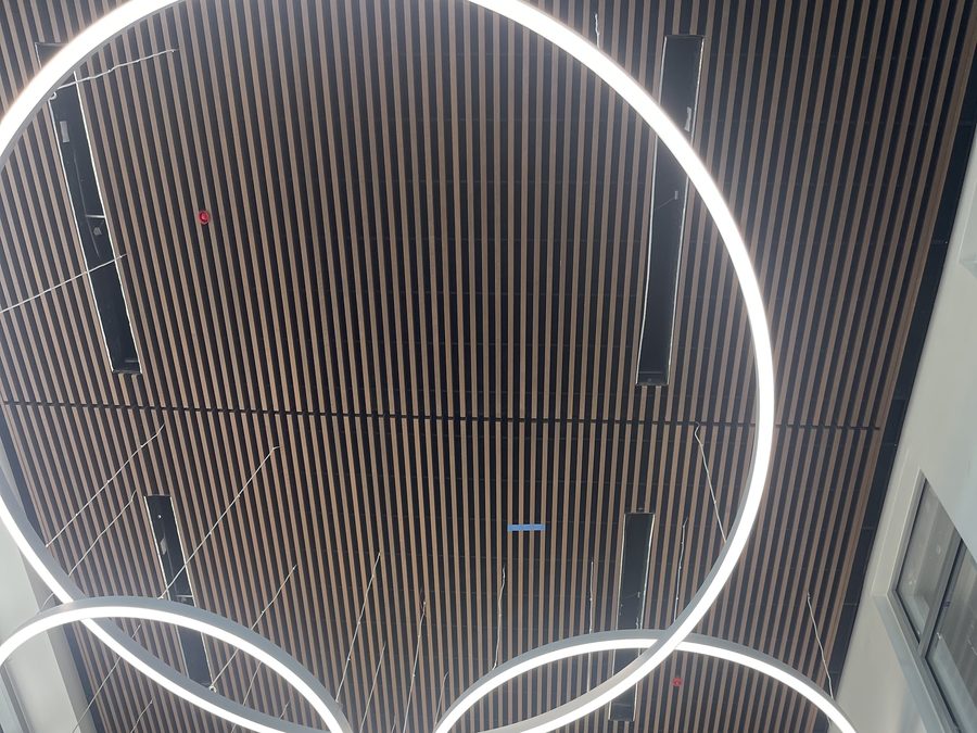 Ring-light detail with linear wood ceiling